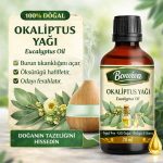 BONVİVA Soğuk Pres Saf Okaliptus Yağı 20 ml