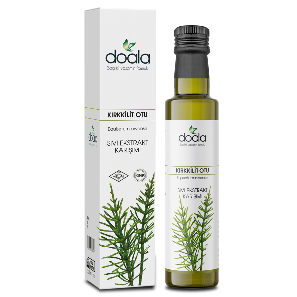 KIRKKILIT-OTU-600x600 DOALA Kırkkilit Otu Sıvı Ekstrakt Karışımı 225 ml - Görsel 1