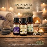 DALBEYOĞLU BİTKİSEL Sandal Saf Esansiyel Uçucu Koku Yağı 10 ml - Görsel 5