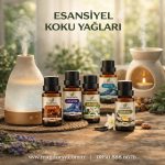 DALBEYOĞLU BİTKİSEL Sandal Saf Esansiyel Uçucu Koku Yağı 10 ml - Görsel 6